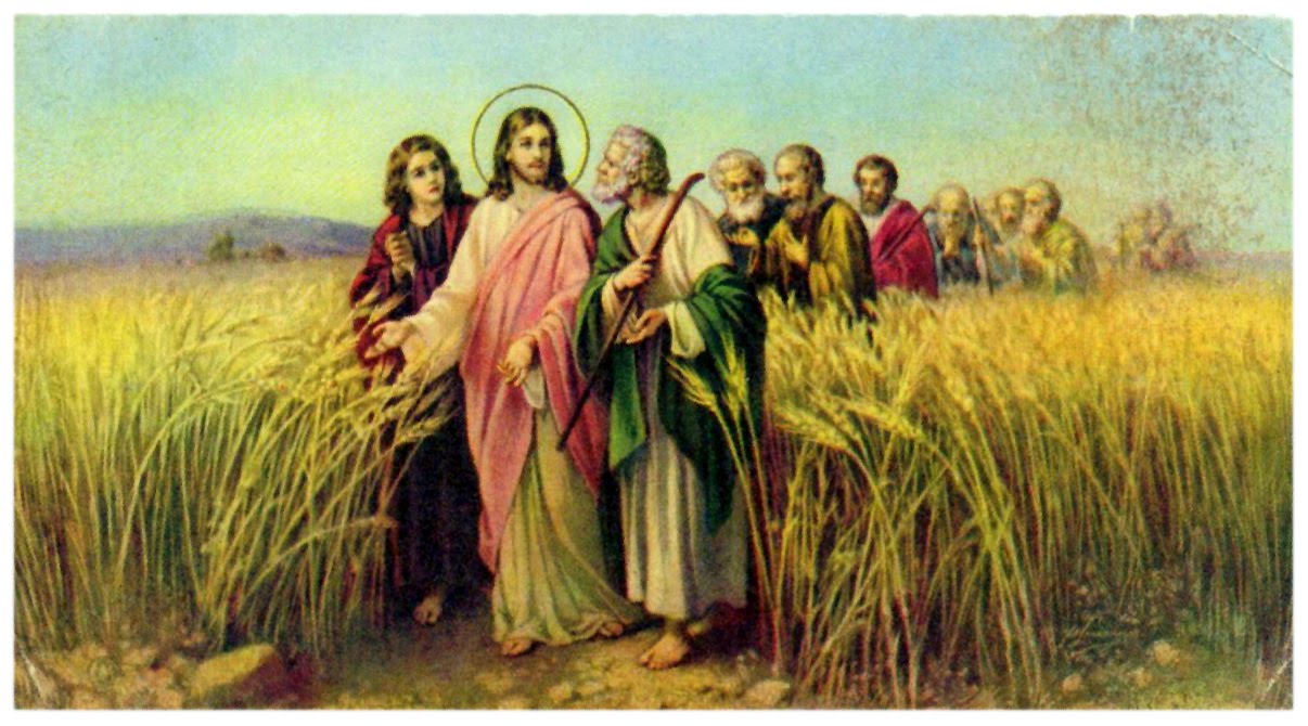 Imagini pentru jesus in the field