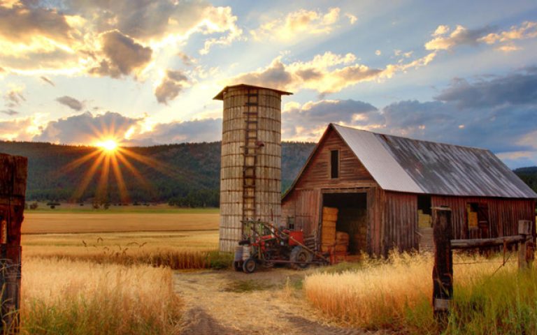 Luni din săptămâna a 29-a de peste an – 1