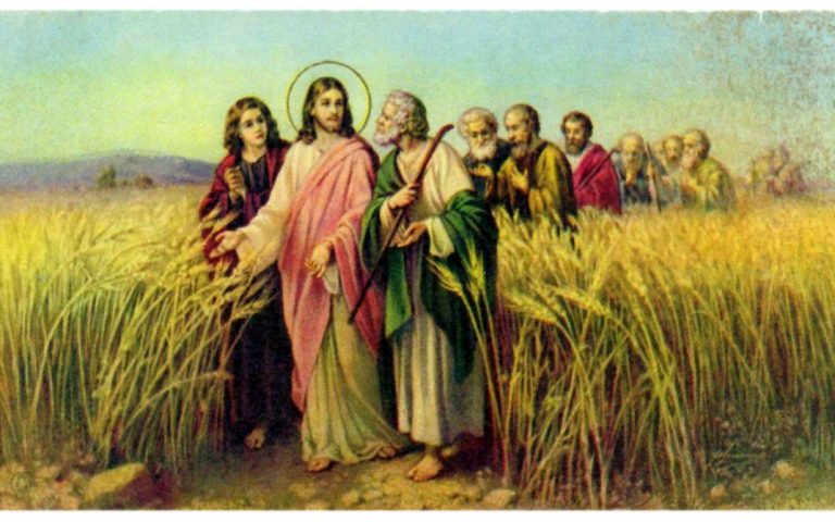 Duminica a 15-a de peste an (A) – 1