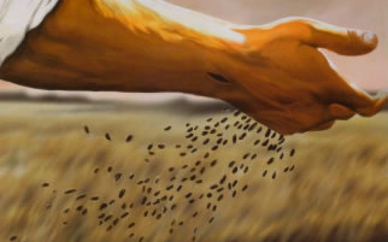 Miercuri din săptămâna a 3-a de peste an – 1