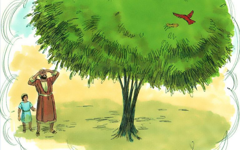 Duminica a 11-a de peste an (B) – 1