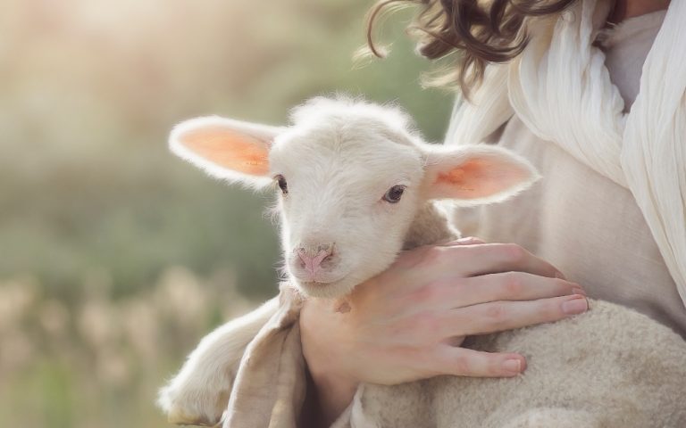 Luni din săptămâna a 4-a a Paștelui – 3