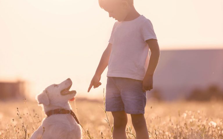 Joi din săptămâna a 9-a de peste an – 2