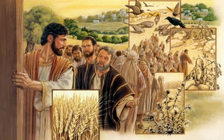 Duminica a 15-a de peste an (A) – 2