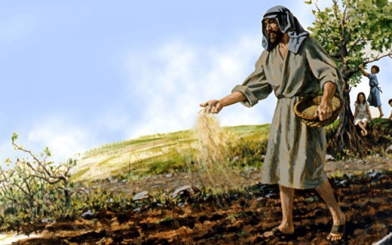 Duminica a 15-a de peste an (A) – 3