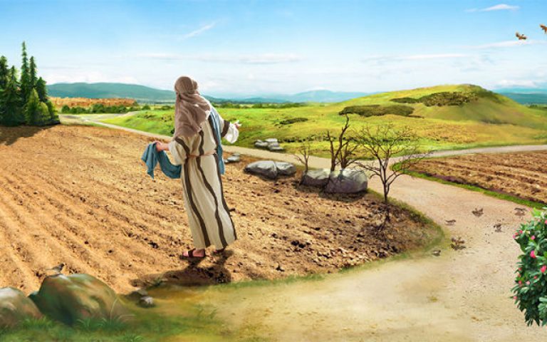 Sâmbătă din săptămâna a 24-a de peste an – 2