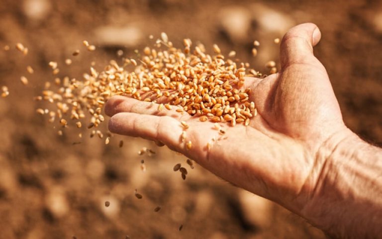 Miercuri din săptămâna a 3-a de peste an – 3