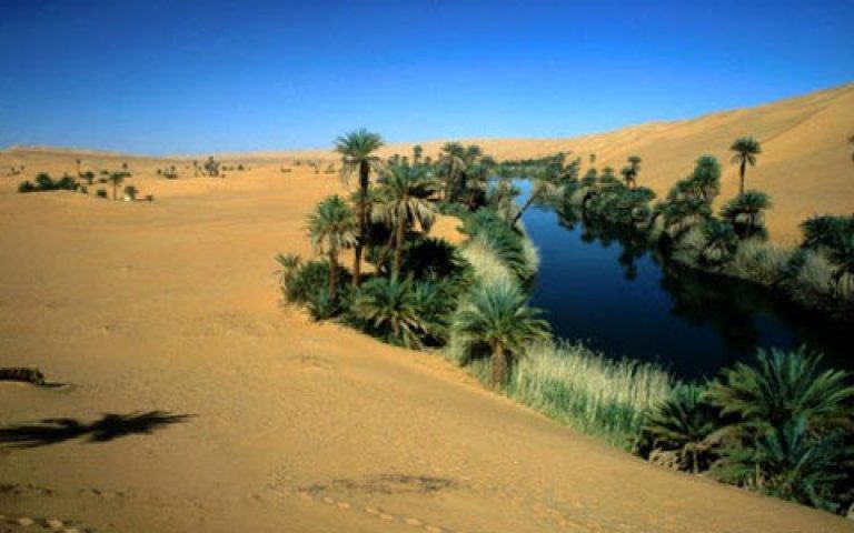 Joi după Miercurea Cenuşii – 3