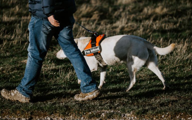 Duminica a 8-a de peste an (C) – 4